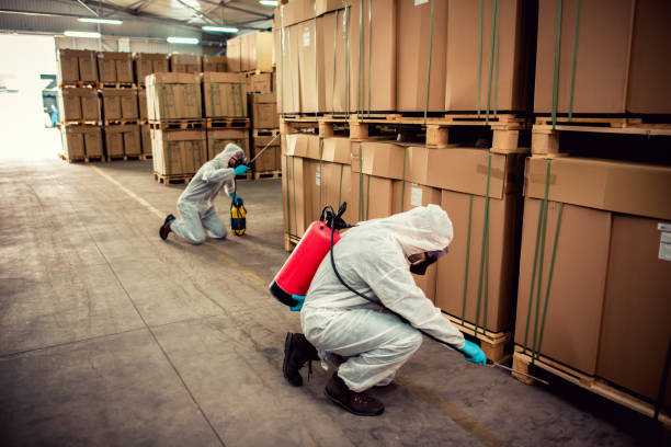 Best Mosquito Control Services  in North Palm Beach, FL
