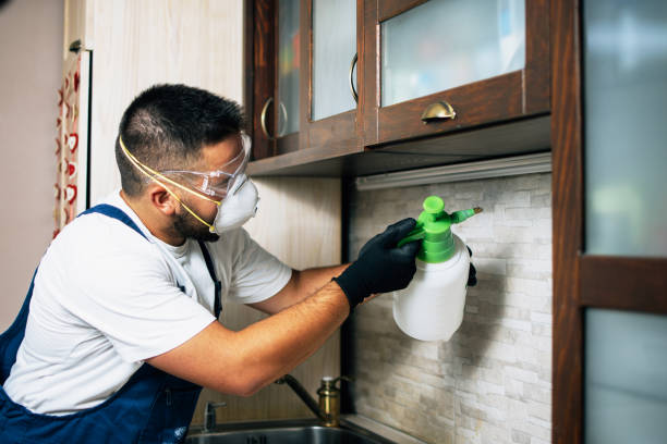 Pest Prevention Services in North Palm Beach, FL