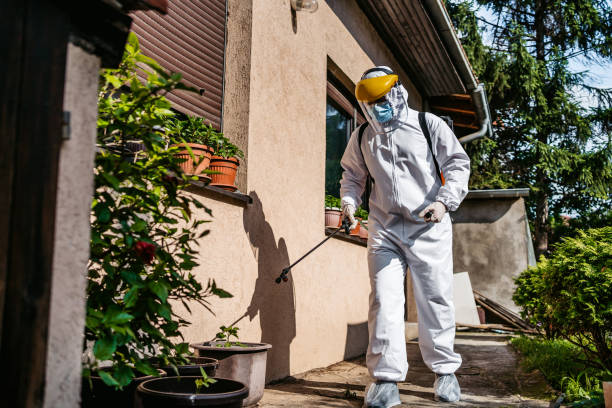 Trusted North Palm Beach, FL Pest Control Experts