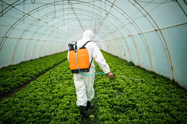 Pest Control for Restaurants in North Palm Beach, FL