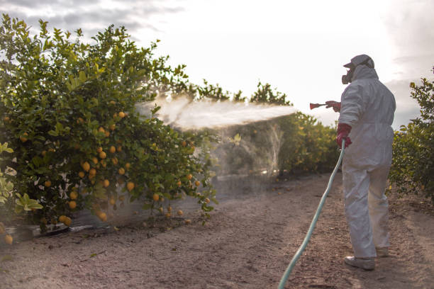Best Best Pest Control Companies  in North Palm Beach, FL