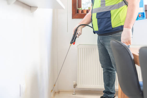 Best Pest Control Near Me in North Palm Beach, FL